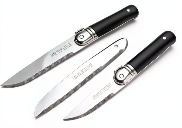 Laguiole Steak Knives Stainless Steel Black Set of 6-6
