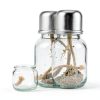 MIROTENGONE Alcohol Burner Lamp Lead-Free Glass Science-2